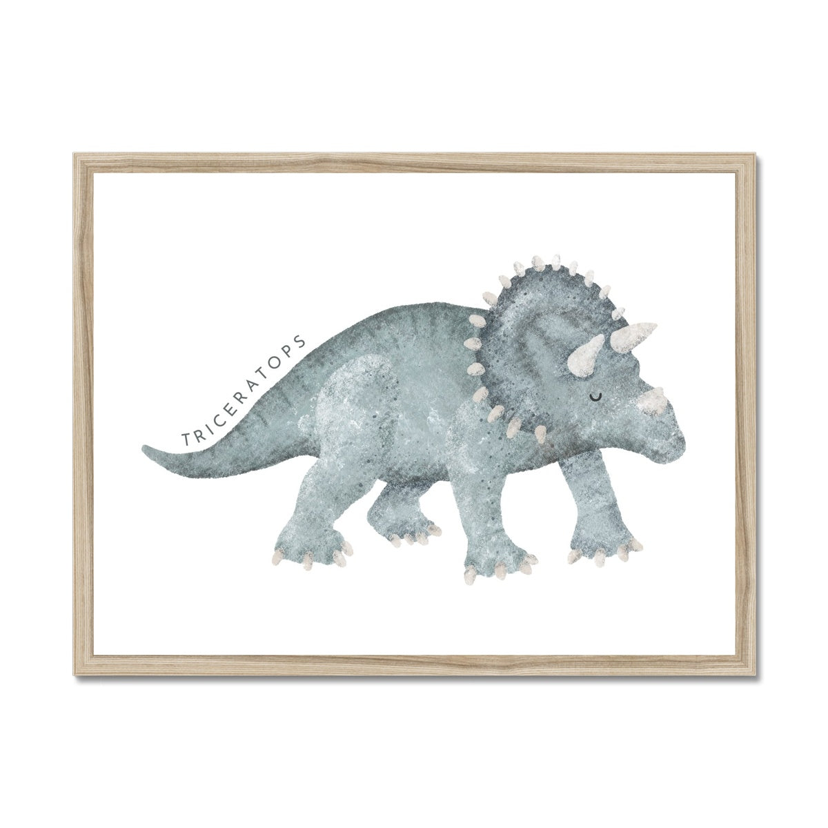 Dinosaur Art - Triceratops |  Framed Print