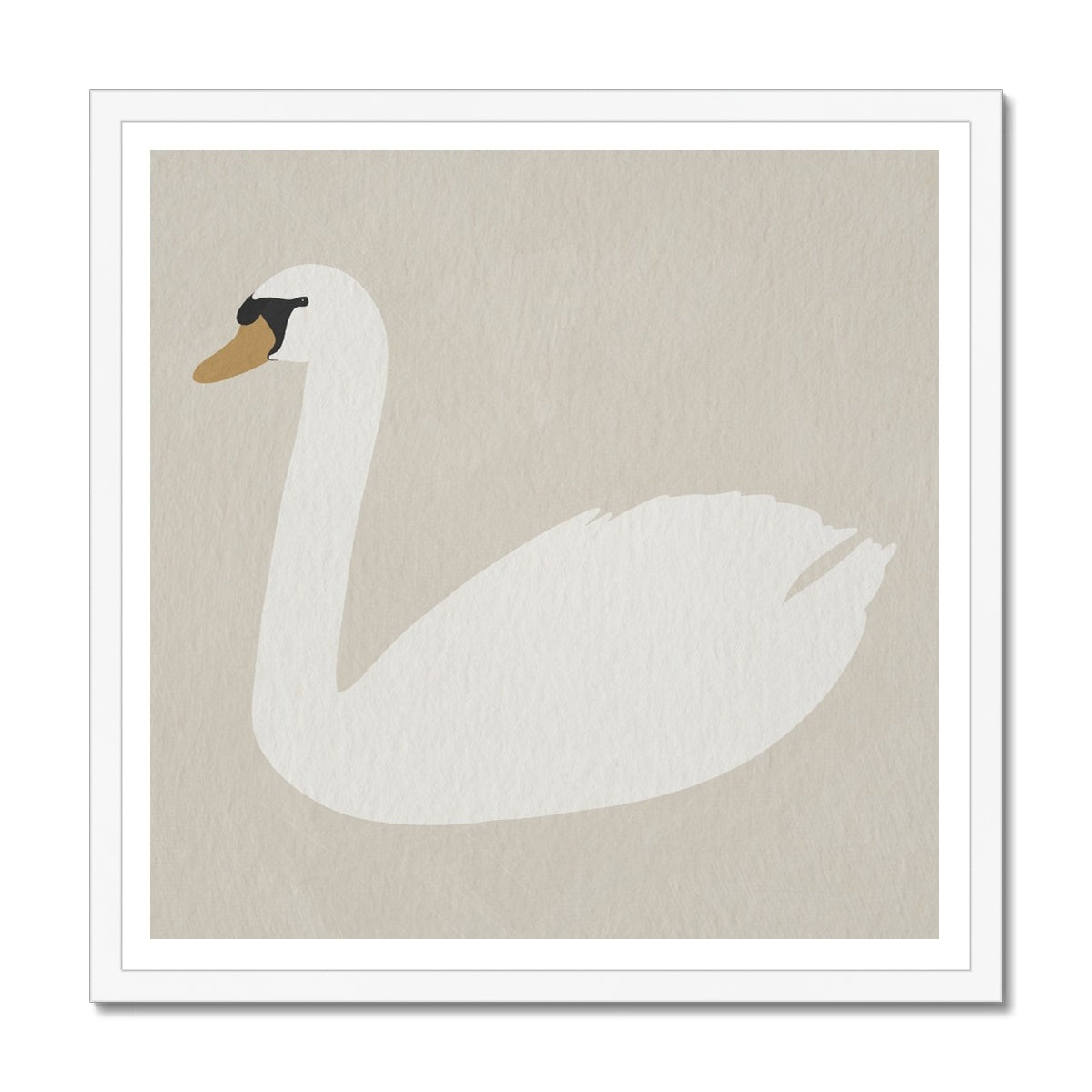 Swan Art - Ammonite |  Framed Print