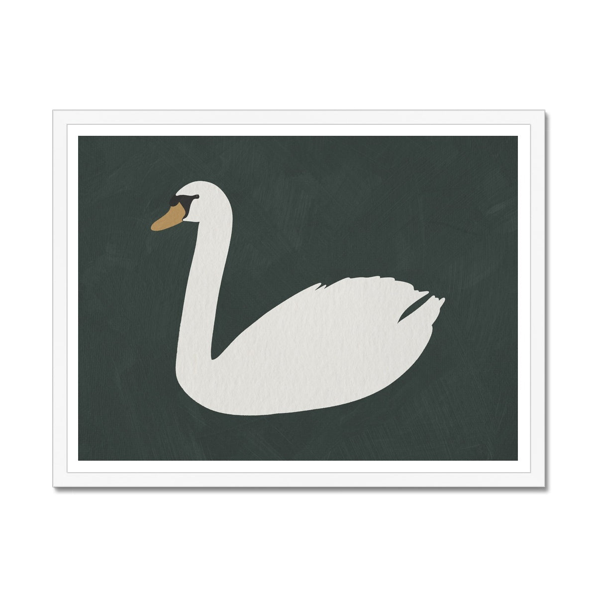 Swan Art - Studio Green |  Framed Print