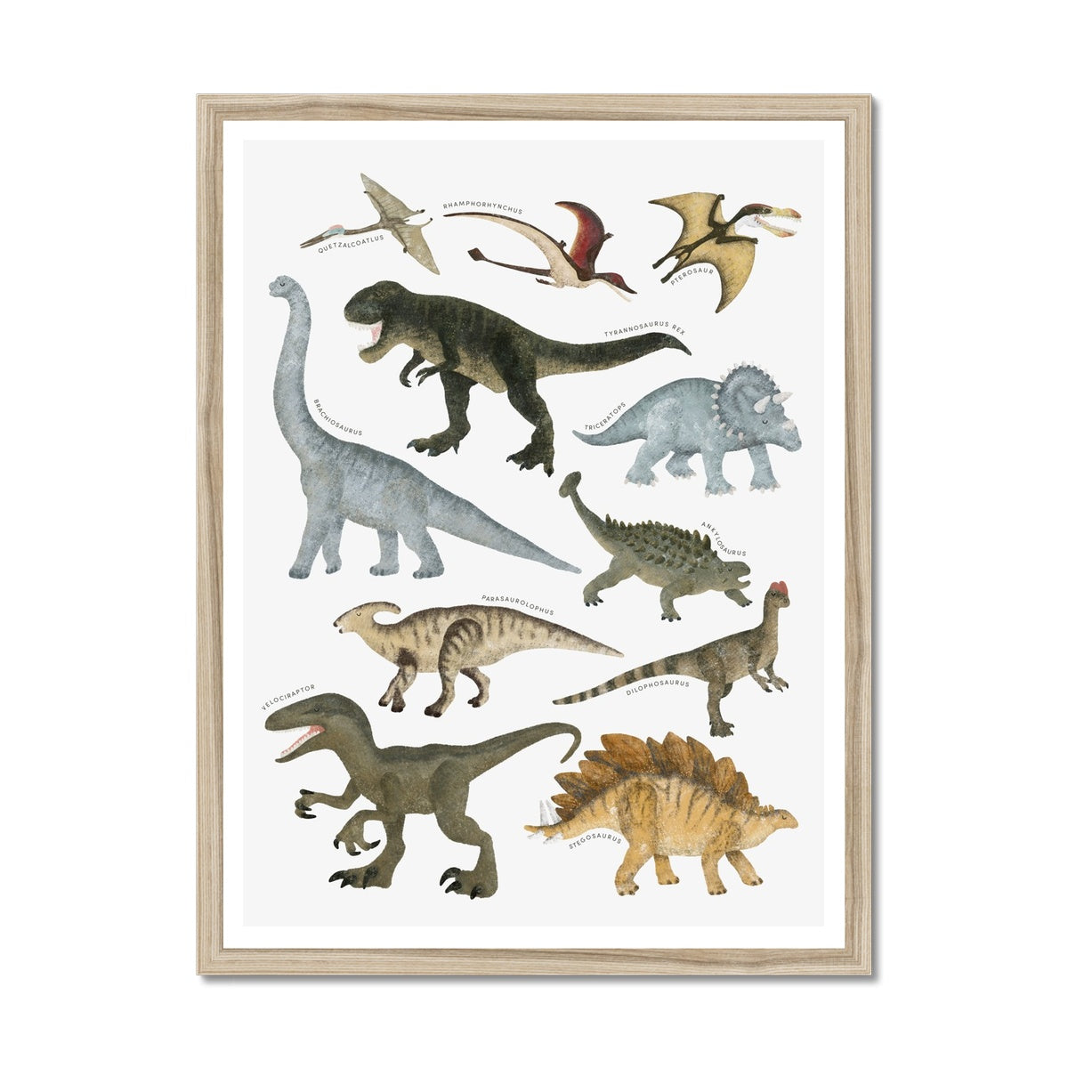 Dinosaur Educational Chart |  Framed Print