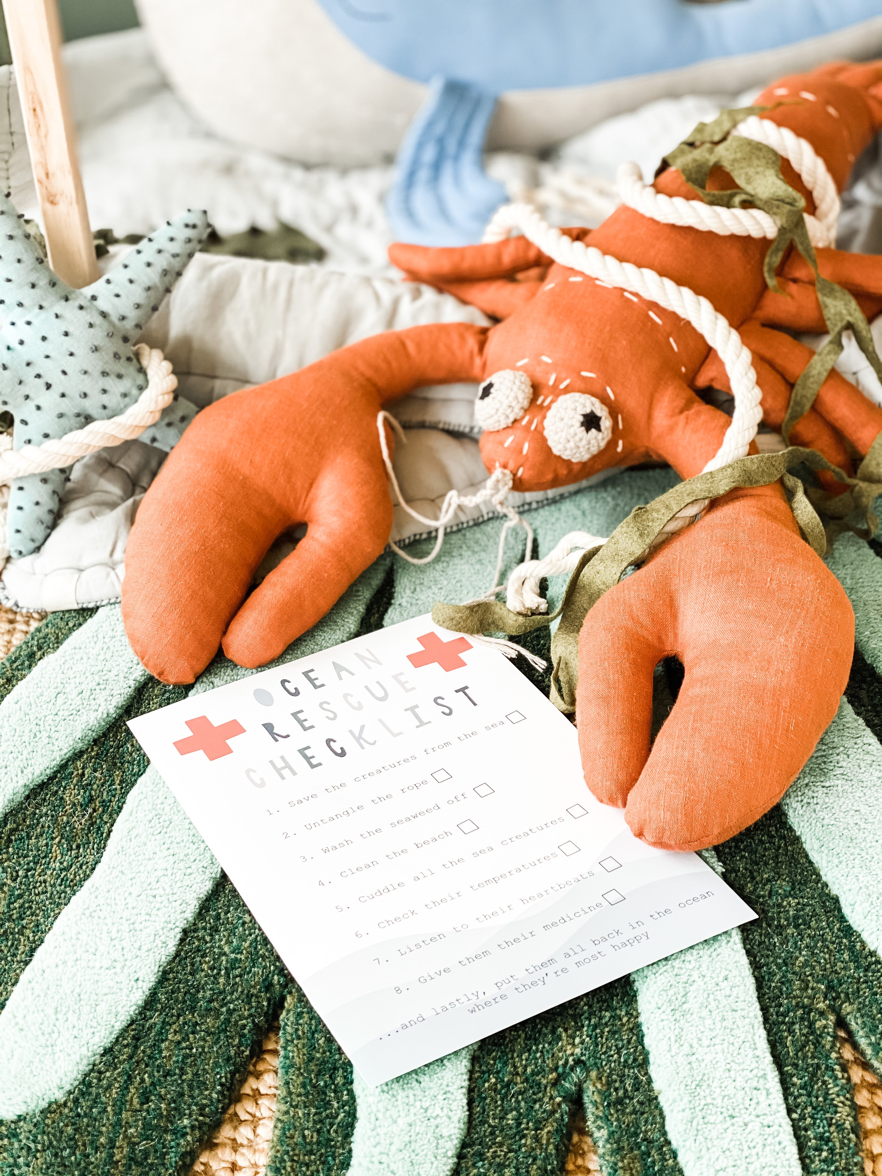 Ocean Rescue Checklist - FREE Printable