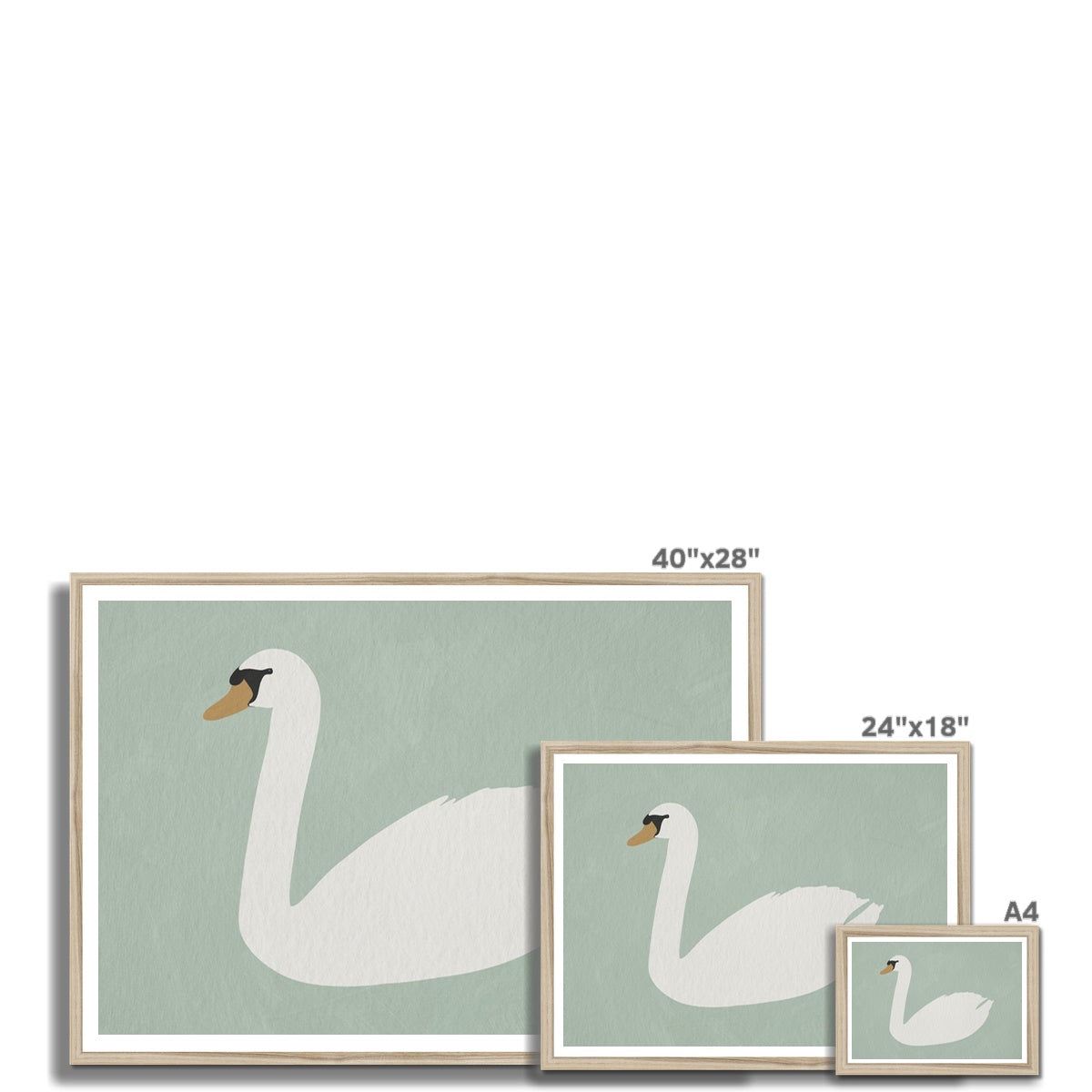 Swan Art - Terecas Green |  Framed Print