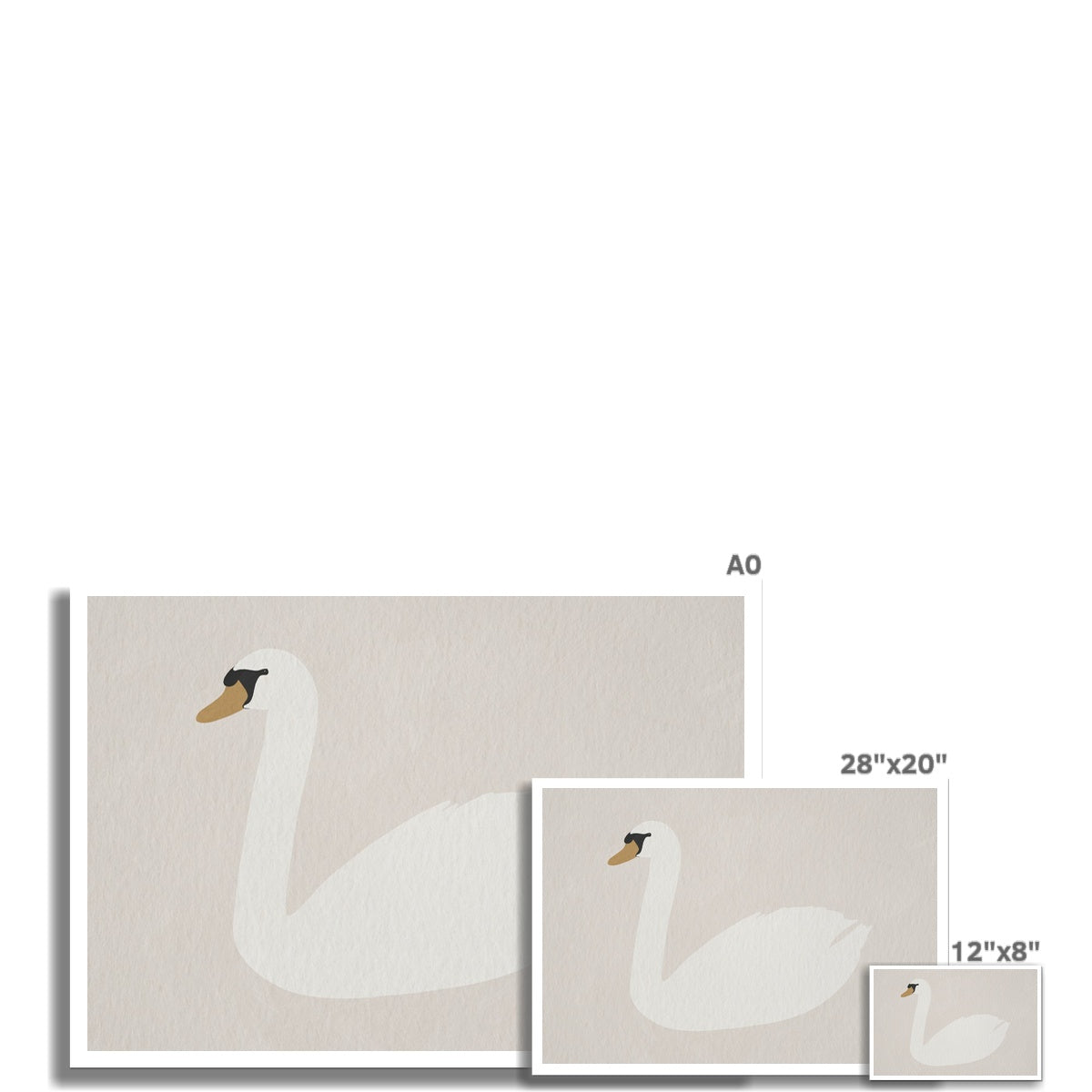 Swan Art - Strong White |  Unframed