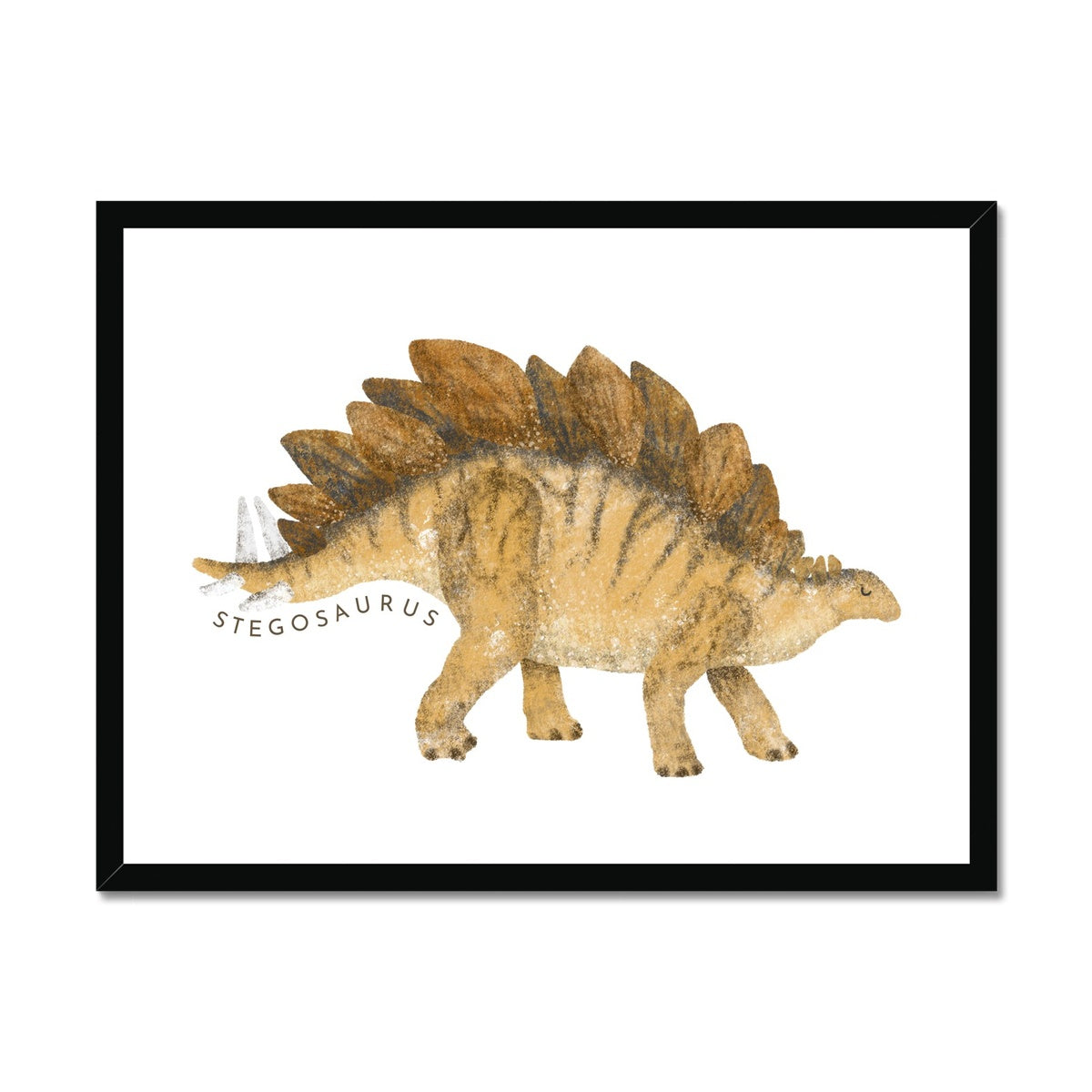 Dinosaur Art - Stegosaurus |  Framed Print