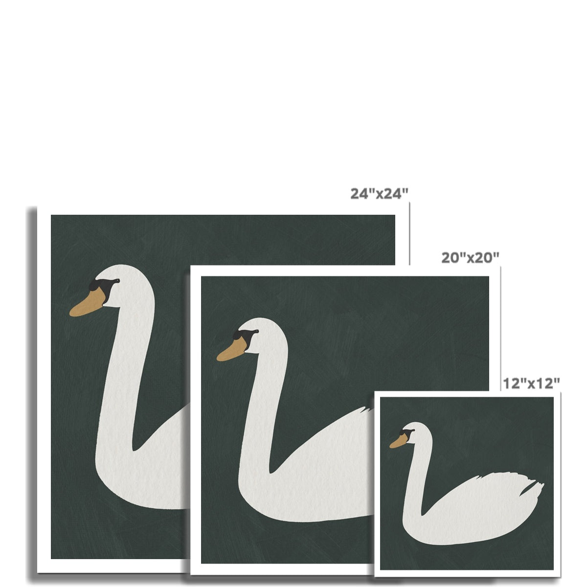 Swan Art - Studio Green |  Unframed