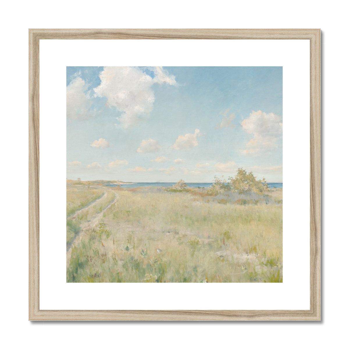 Landscape, Coastal 00576 |  Framed & Mounted Print