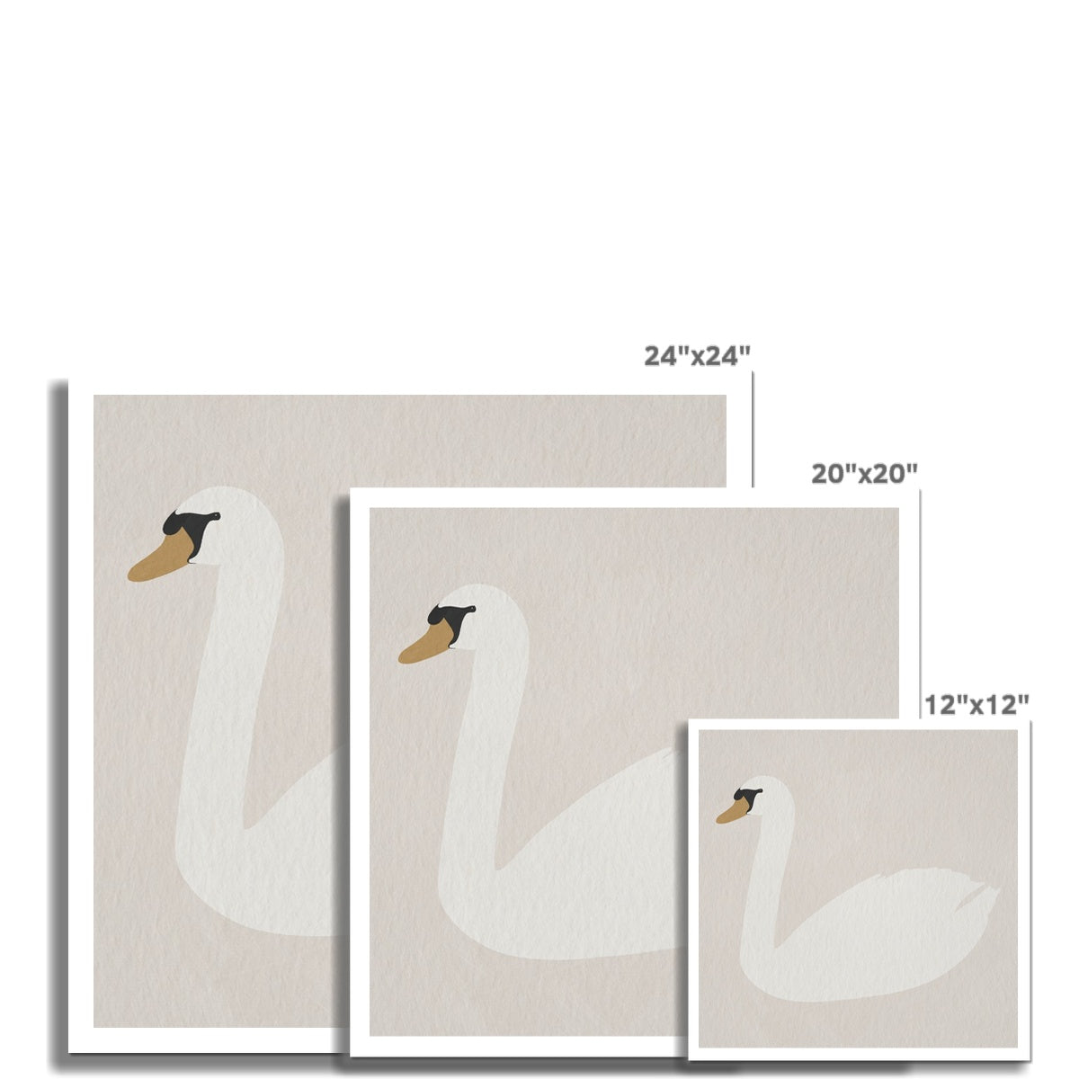 Swan Art - Strong White |  Unframed