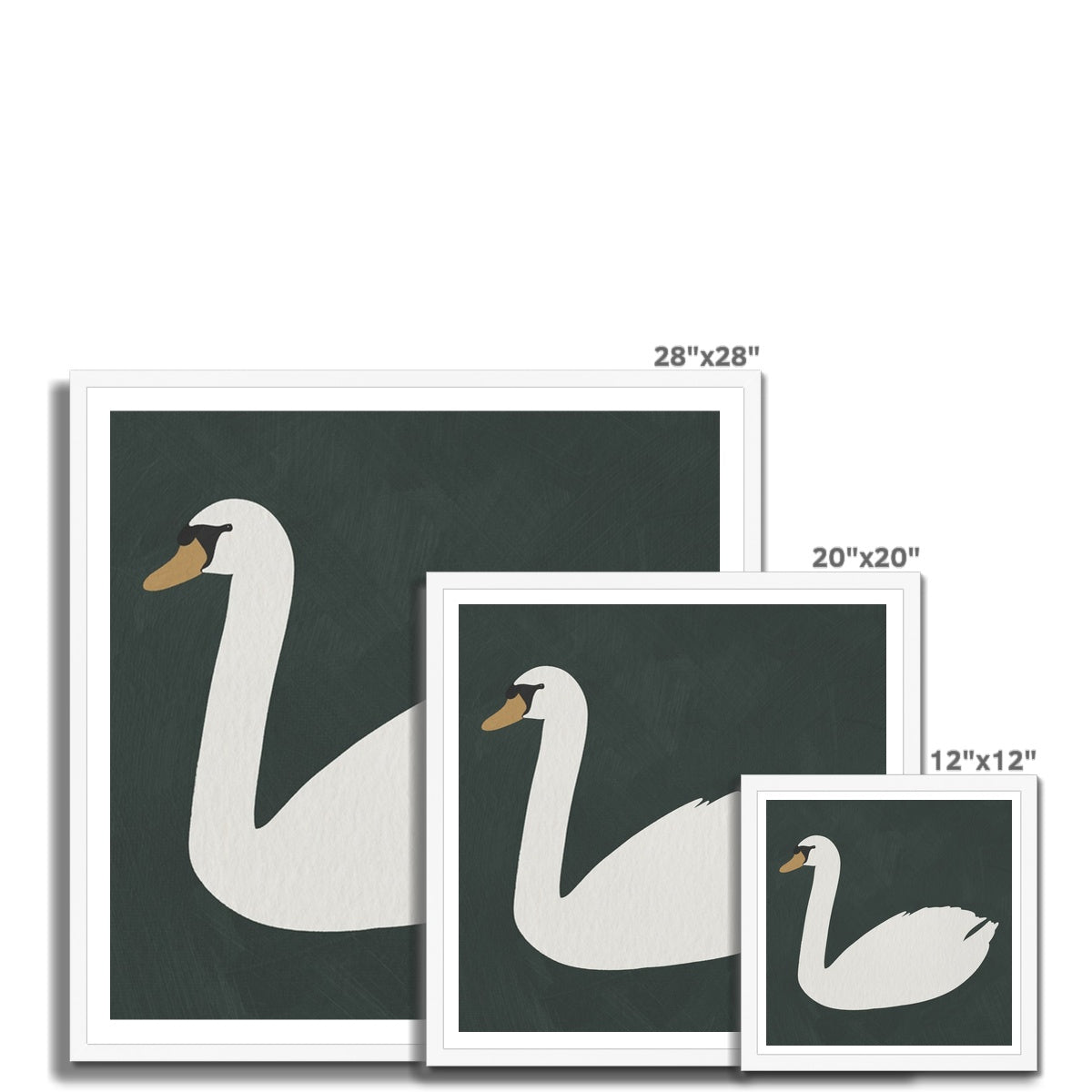 Swan Art - Studio Green |  Framed Print