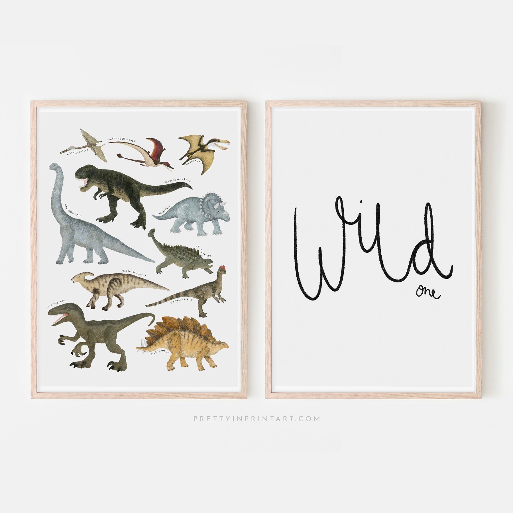 Dinosaur Educational Chart |  Framed Print